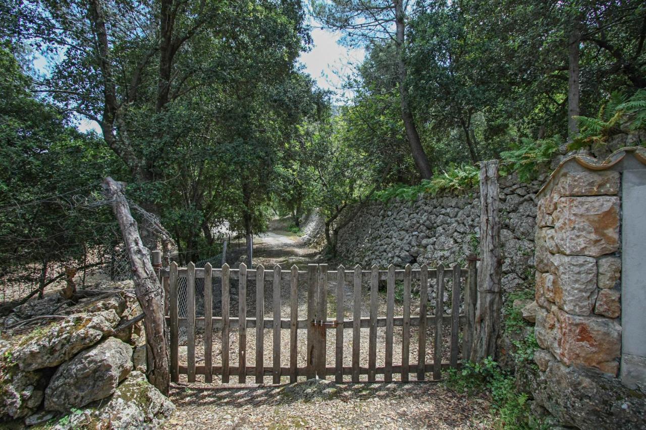 Pollenca - 35056 Mallorca Lluc Dış mekan fotoğraf